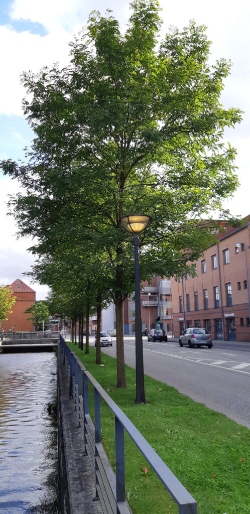 eksempel på bytræer